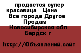 продается супер красавица › Цена ­ 50 - Все города Другое » Продам   . Новосибирская обл.,Бердск г.